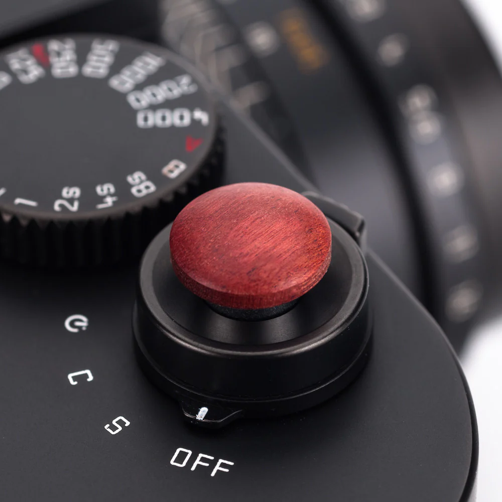 Artisan Obscura 'Cameras' Wood Soft Release - 11mm, Concave, Ivorywood - Image 3