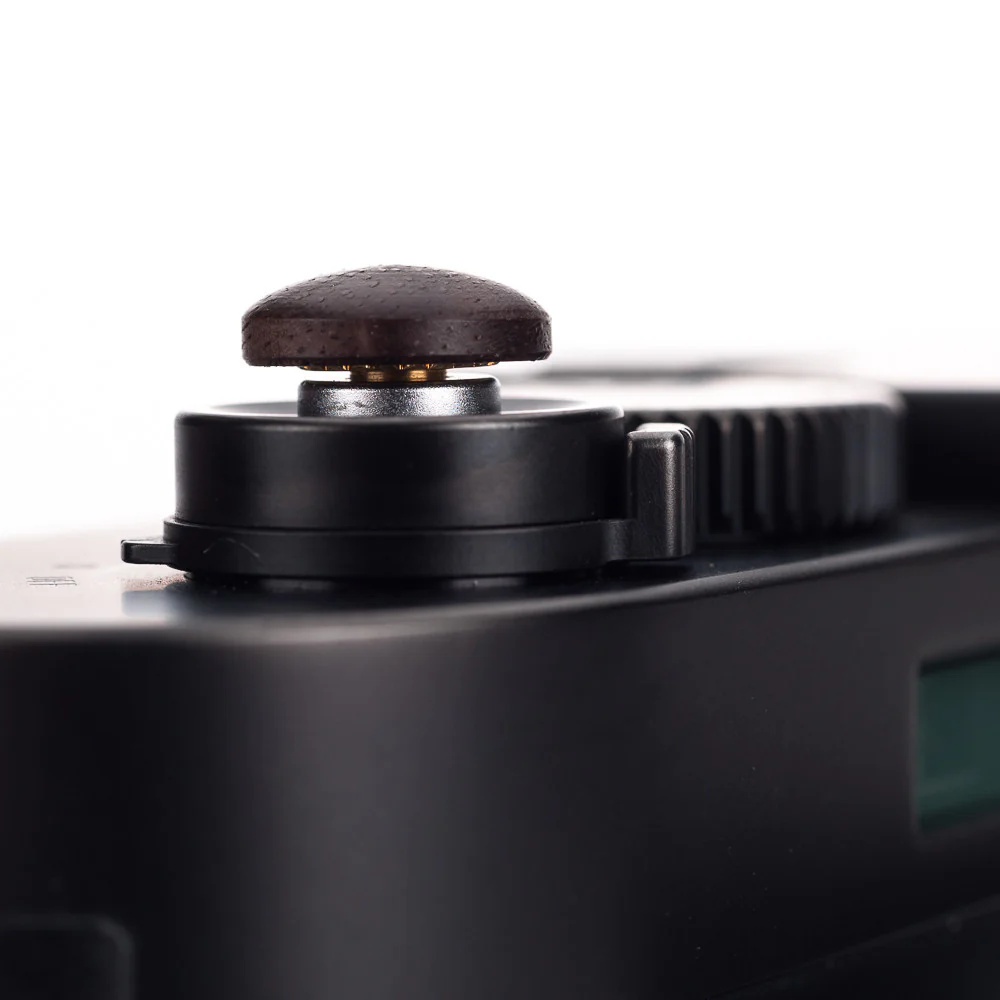 Artisan Obscura Wood Soft Release - 11mm, Convex, Figured Walnut - Image 3