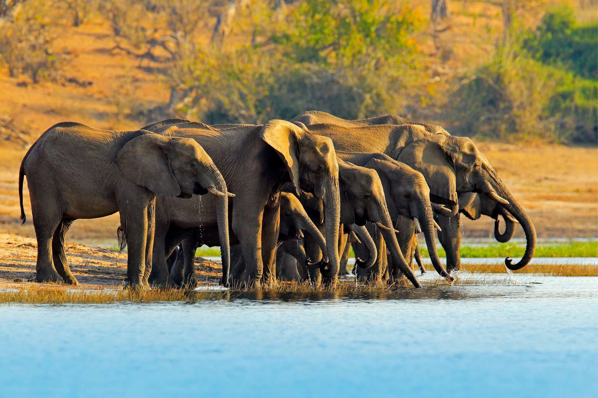 Botswana: Private Mobile Safari  |  July 5-12, 2027 - Image 10