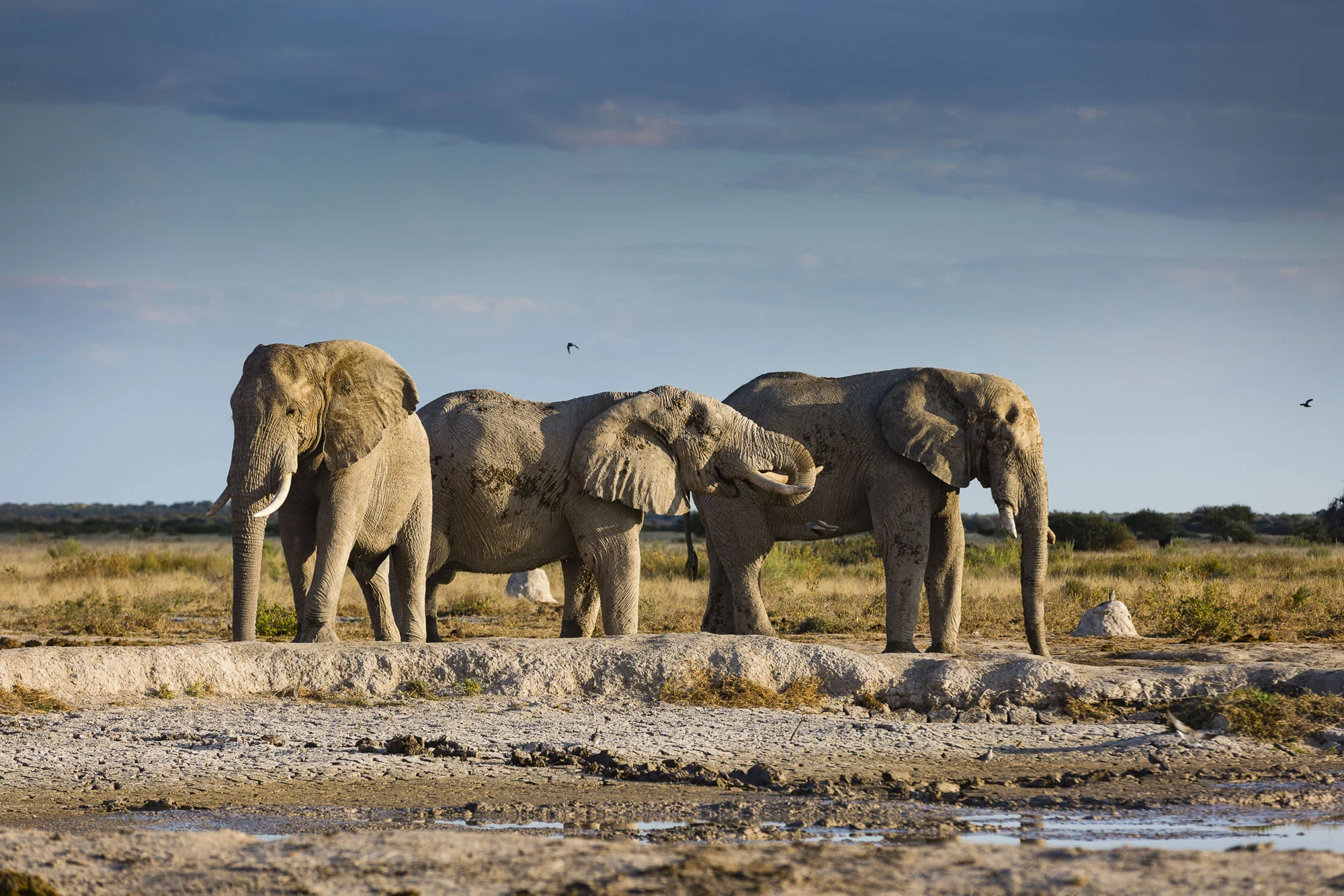 Botswana: Private Mobile Safari  |  July 5-12, 2027 - Image 11