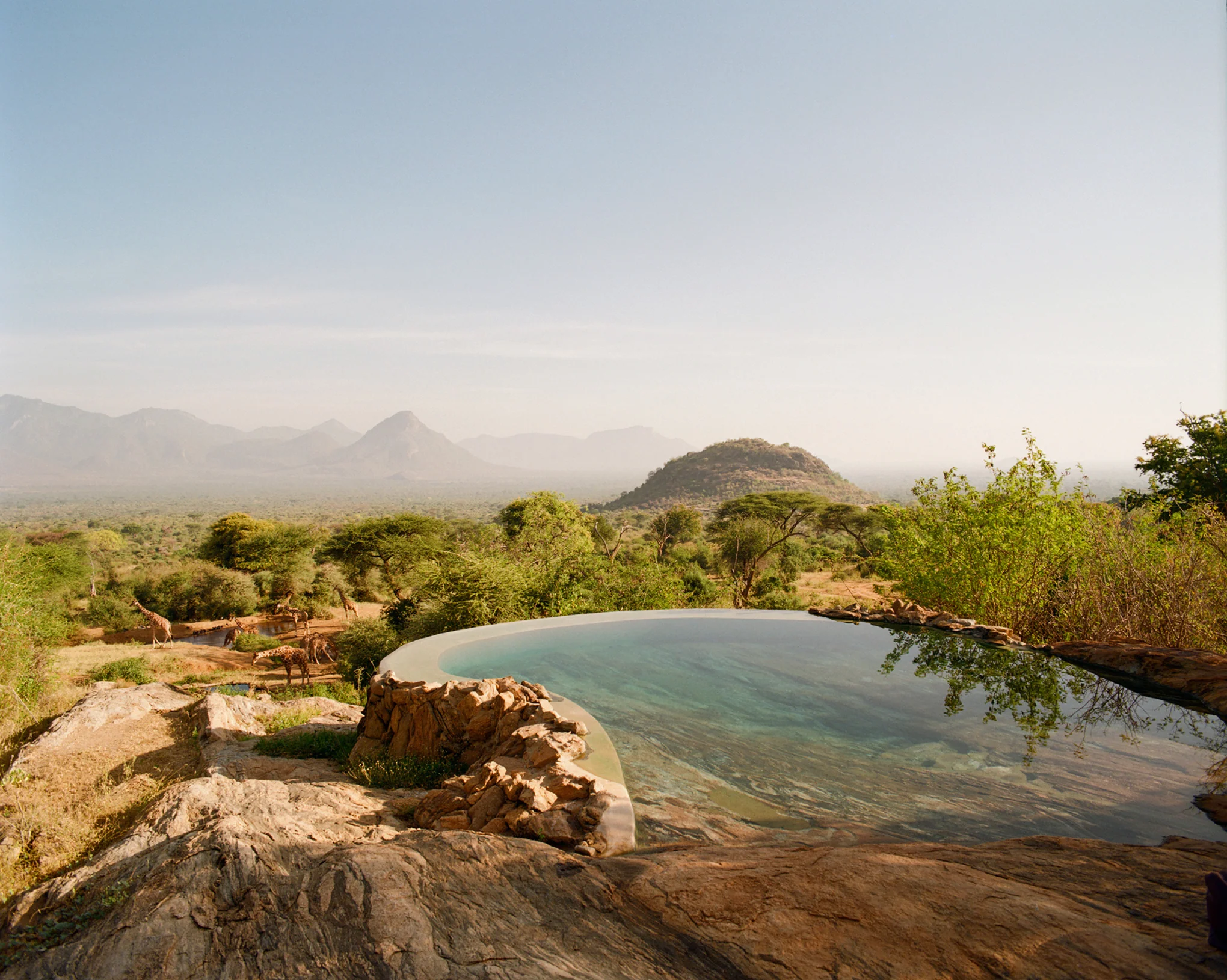 Kenya Photo Safari - Wildlife & Conservation  |  Jan 22-30, 2027 - Image 10