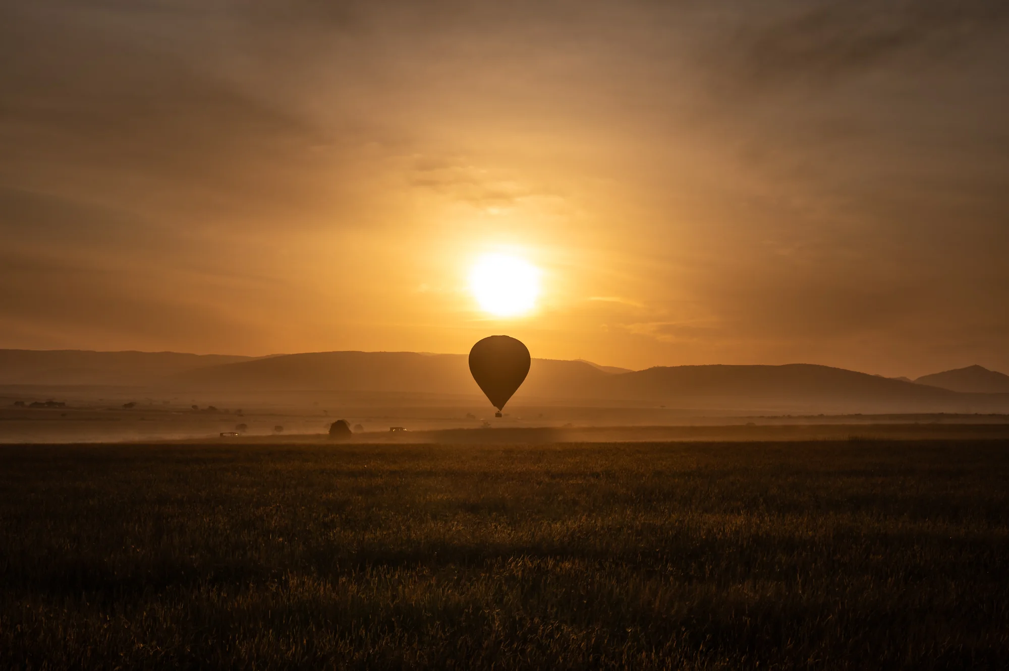 Kenya Photo Safari - Wildlife & Conservation  |  Jan 22-30, 2027 - Image 11