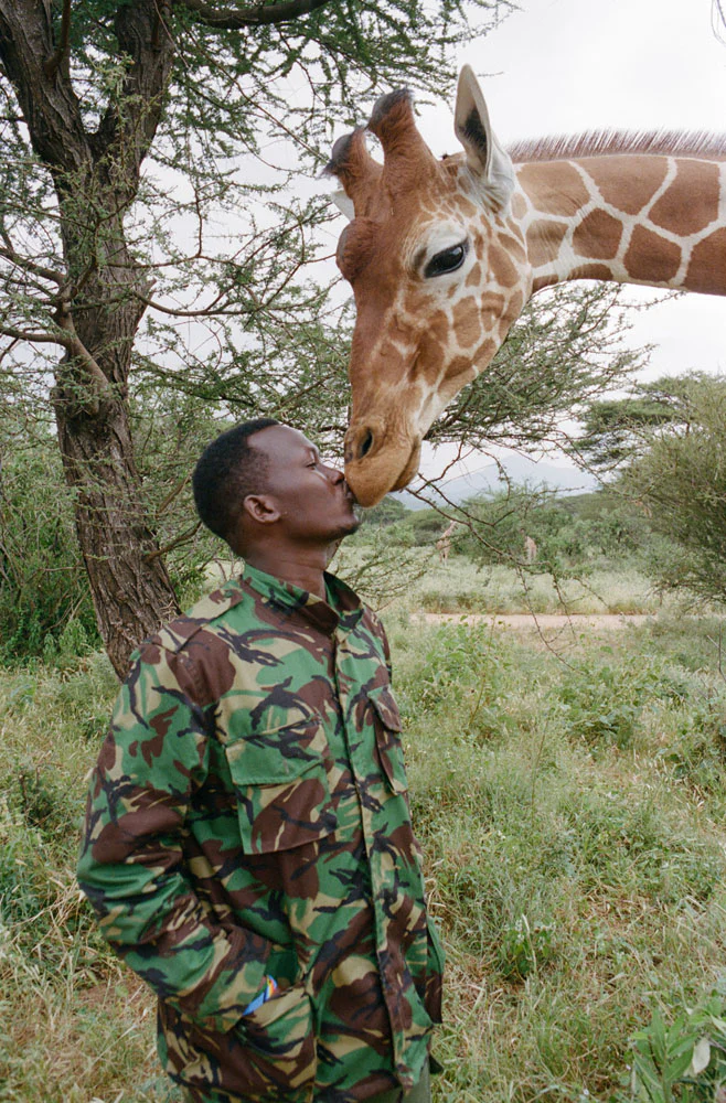 Kenya Photo Safari - Wildlife & Conservation  |  Jan 22-30, 2027 - Image 12