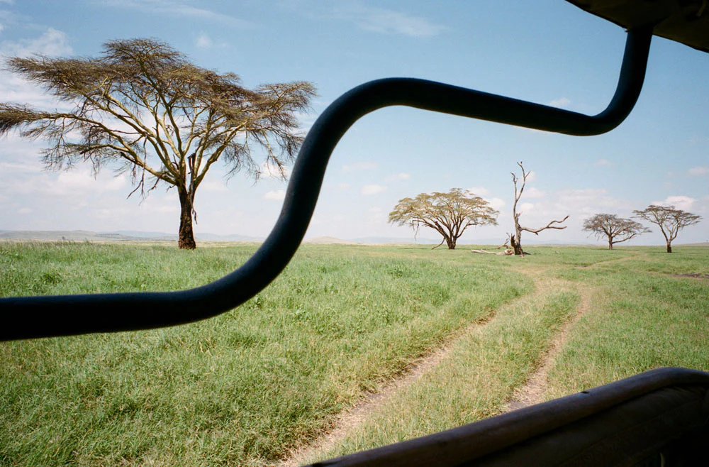 Kenya Photo Safari - Wildlife & Conservation  |  Jan 22-30, 2027 - Image 16