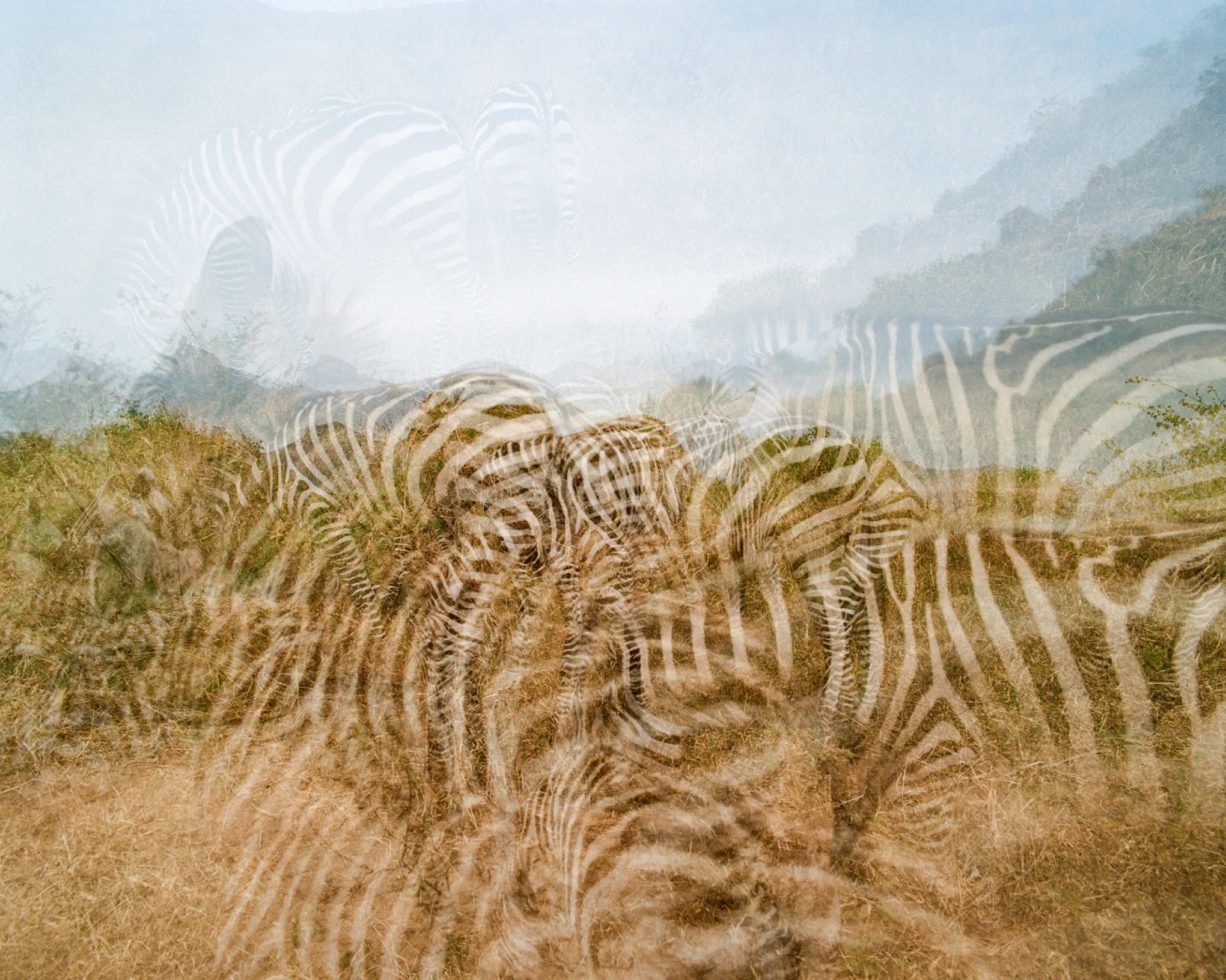 Kenya Photo Safari - Wildlife & Conservation  |  Jan 22-30, 2027 - Image 17