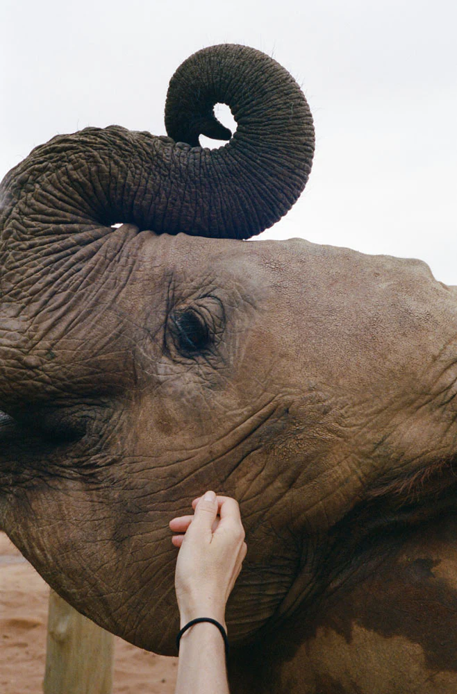 Kenya Photo Safari - Wildlife & Conservation  |  Jan 22-30, 2027 - Image 18