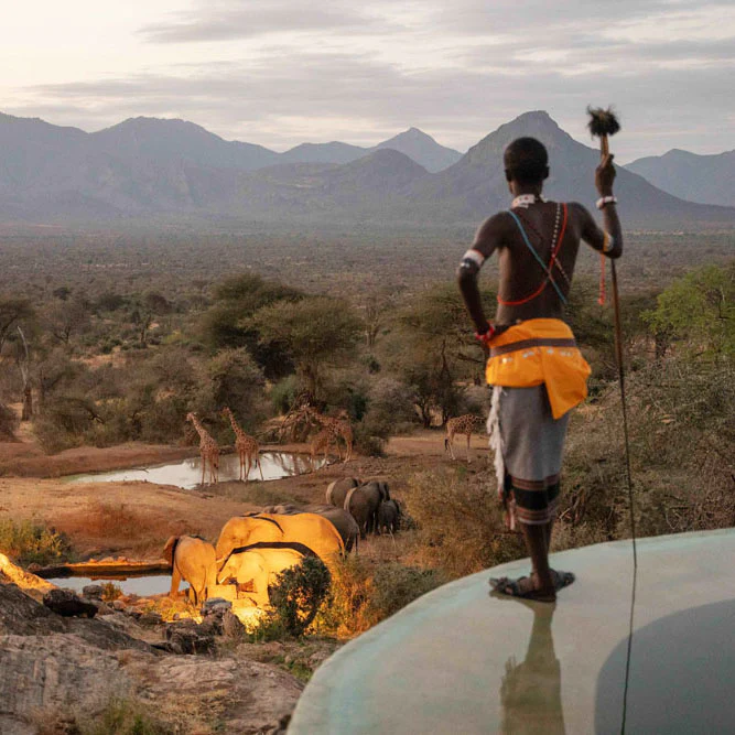 Kenya Photo Safari - Wildlife & Conservation  |  Jan 22-30, 2027 - Image 22