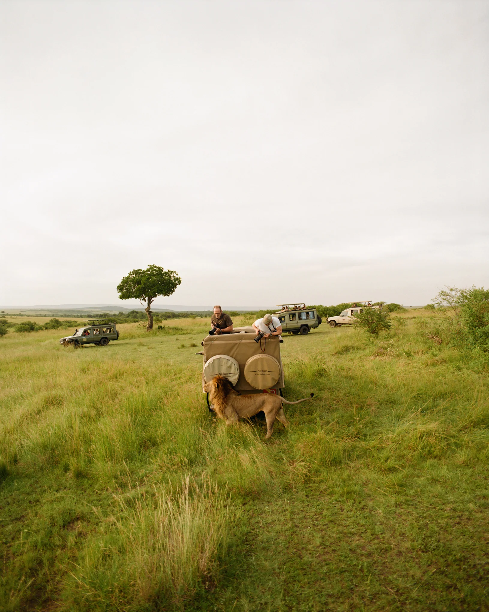 Kenya Photo Safari - Wildlife & Conservation  |  Jan 22-30, 2027 - Image 24