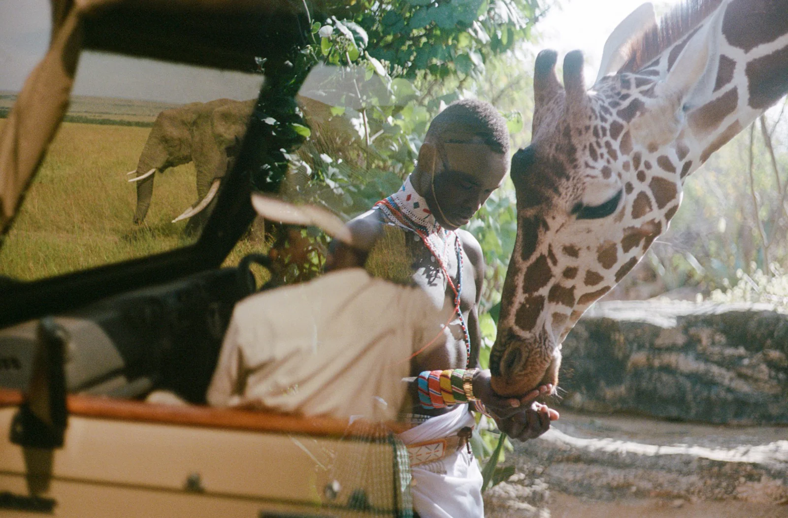 Kenya Photo Safari - Wildlife & Conservation  |  Jan 22-30, 2027 - Image 27