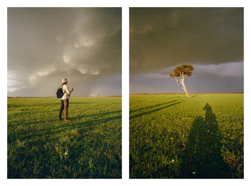 Kenya Photo Safari - Wildlife & Conservation  |  Jan 22-30, 2027 - Image 8