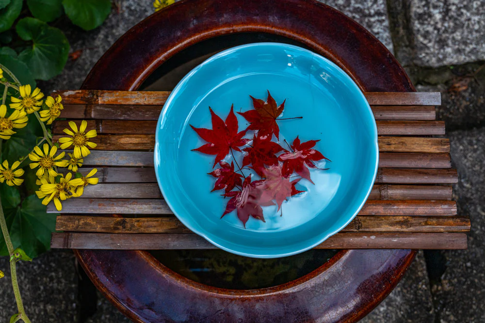 Kyoto: Portrait of a City Workshop w/ Michael Turek | March 1-8, 2026 - Image 24