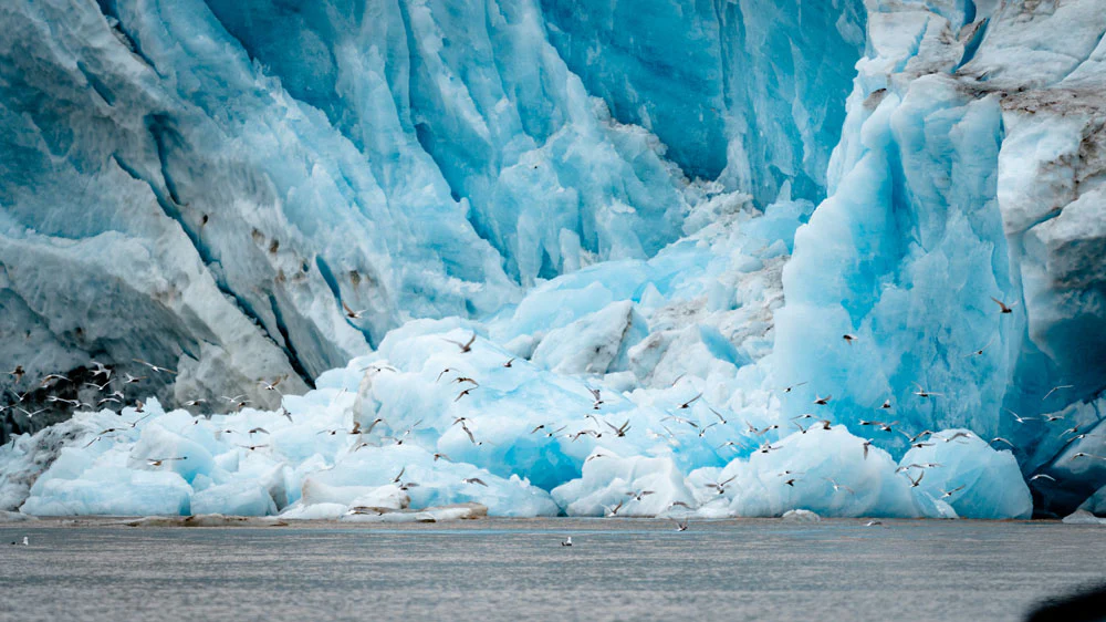 Leica Photo Adventure to Svalbard from July 11-20, 2026 - Image 8