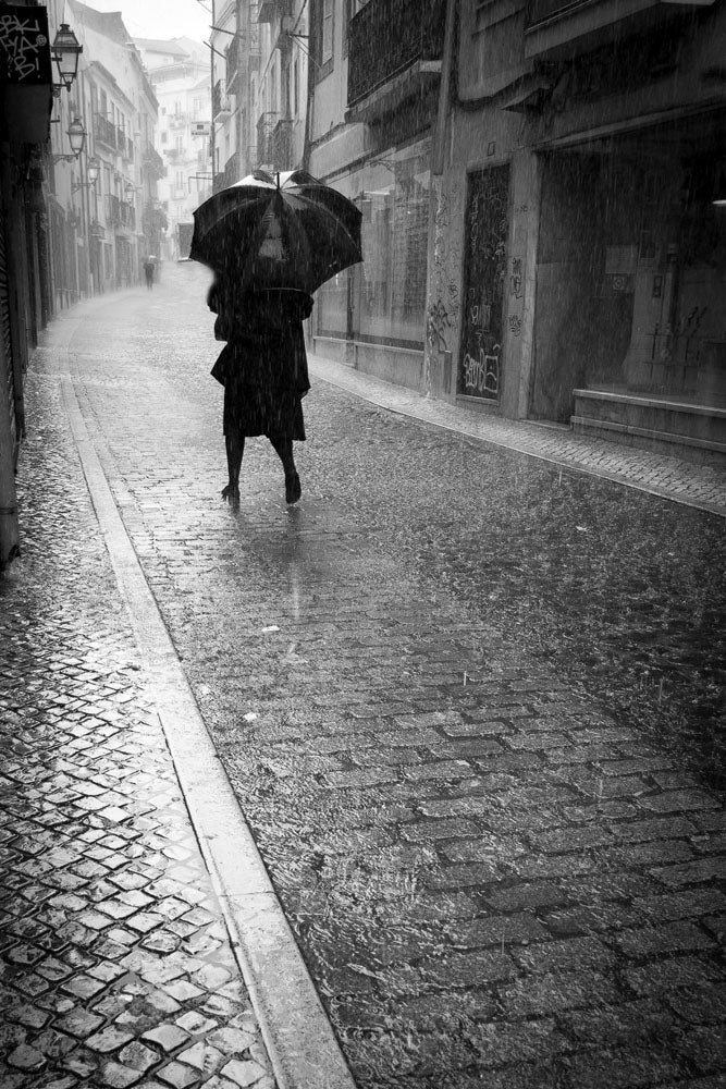 Lisbon, Portugal Workshop with Rui Palha | April 8-14, 2026 - Image 16