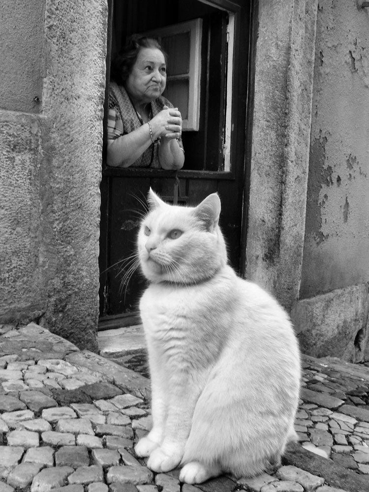 Lisbon, Portugal Workshop with Rui Palha | April 8-14, 2026 - Image 6