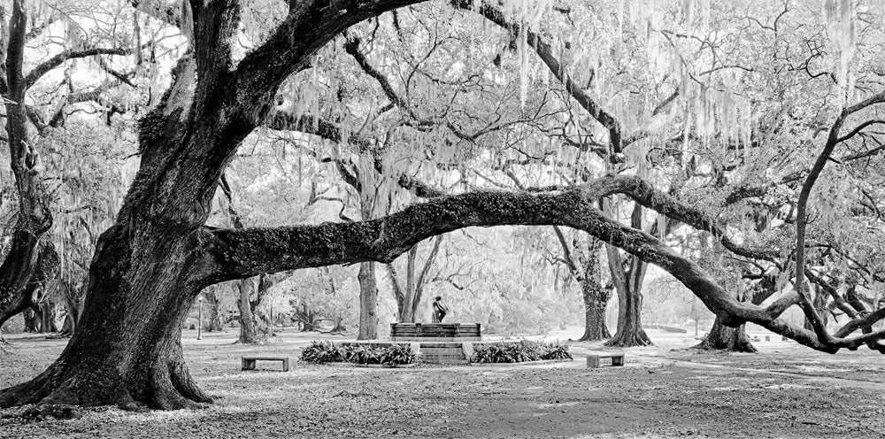 New Orleans Monochrom Workshop with Richard Sexton | November 5-8, 2026 - Image 16